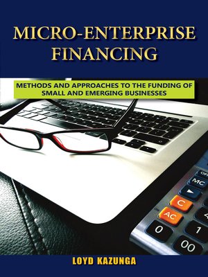 cover image of Micro-Enterprise Financing